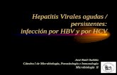 Hepatitis Virales agudas / persistentes: infección por HBV ...³rico 11 Virus... · Francis V. Chisari JRO Cátedra I de Microbiología, Parasitología e Inmunología . Hepatitis