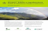 Programa de investigación del CGIAR Bosques, …...4 Programa de investigación del CGIAR El marco Los bosques existen bajo variados regímenes geográficos, edafológicos y climáticos,