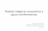 Pueblos indígenas amazónicos y aguas transfronterizasjornada.pucp.edu.pe/derecho-de-aguas/wp-content/... · sus usos y costumbres para toda actividad cultural, social o económica