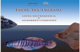 del uruguay... · ii Introducción El conocimiento de la biodiversidad constituye una de las bases necesarias para el manejo racional de los ecosistemas, fundamentalmente aquellos