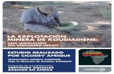 LA EXPLOTACIÓN MINERA DE KOUDIADIÈNEaefjnmadrid.org/wp-content/uploads/2017/03/SENEGAL-WEB.pdfLa Red AEFJN un puente de esperanza entre África y Europa ... comercio internacional,