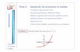 Tema 3: Resolución de ecuaciones no linealesma1.eii.us.es/Material/Cal_Num_itig_Pres3.pdfCálculo umérico Tema 1: Resolución de ecuaciones no lineales Una ecuación no lineal es