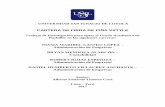 Cartera de fibra de piña Vstyle - Universidad San Ignacio ...repositorio.usil.edu.pe/bitstream/USIL/2982/1/2017_Castro-Lopez.pdf · UNIVERSIDAD SAN IGNACIO DE LOYOLA CARTERA DE FIBRA