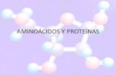 AMINOÁCIDOS Y PROTEÍNAS...Aminoácidos Monómeros de las proteínas. Formación de dipéptido por reacción de condensación liberando agua. Unión con un 3er Aa se forma un tripéptido