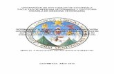 UNIVERSIDAD DE SAN CARLOS DE GUATEMALA FACULTAD DE ... Med Vet Aejandro Morales.pdf · universidad de san carlos de guatemala facultad de medicina veterinaria y zootecnia escuela