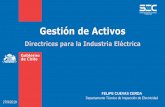 Gestión de Activos - dimec.usach.cl · Gestión de Activos Directrices para la Industria Eléctrica FELIPE CUEVAS CERDA Departamento Técnico de Inspección de Electricidad 27/9/2019.