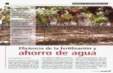 ahorro de agua · 2011-05-12 · DOSSIER FERTIRRIGACIÓN Foto izquierda. En España, la superficie de regadío representa aproximadamente un 19% de la superficie agrícola útil y