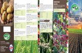 Brochure Ecoinsumos 2016 2 · 2016-07-08 · con el ambiente, diseñados para hacer más eﬁ ciente la productividad de los cultivos. Nuestra experiencia nos permite recomendar y