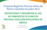 Proyecto Regional Pinturas Libres de Plomo Colombia ... · Proyecto Regional Pinturas Libres de Plomo Colombia-Ecuador-Perú Quito, Ecuador 23 de octubre de 2019 RESTRICCIONES Y PROHIBICIÓN