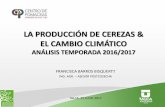 LA PRODUCCIÓN DE CEREZAS & EL CAMBIO CLIMÁTICOpomaceas.utalca.cl/wp-content/uploads/2016/07/PRODUCCIÓN... · 2017-08-01 · del clima, se siguen extinguiendo en las regiones tropicales,