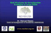 Red Mexicana de Investigación Ecológica a Largo Plazomapimi-uved.univ-tlse2.fr/01/docs/01/11_presentation_red_1ertallermonitoreo_manuel...objetivo de explorar las consecuencias de