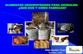 ALIMENTOS CONCENTRADOS PARA ANIMALES: ¿QUÉ SON Y … Actualizacion Prof... · 2016-07-11 · ALIMENTOS CONCENTRADOS PARA ANIMALES: ¿QUÉ SON Y CÓMO FABRICAN? Diego González Vargas