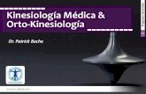 Kinesiología Médica & Programa formativo Orto-Kinesiología · enfoque a la práctica dental en cuanto a la movilidad de la estructura y de la función de los músculos de la mandíbula