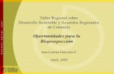 Oportunidades para la Bioprospección · 2005-08-19 · Oportunidades ante los Acuerdos Comerciales • Presión al sector productivo nacional hacia la innovación y el desarrollo