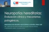 Neuropatías hereditarias: Evaluación clínica y mecanismos ...gustavolorenzo.es/conferencias/enfer/2016/m4c1.pdf · Características clínicas Debilidad distal y atrofia Inicio