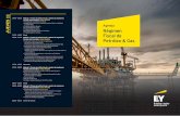 Régimen Fiscal de Petróleo & Gas · de los proyectos: riesgo de exploración, información sobre producción, Capex, Opex, pozos, costos netback, diferenciales de calidad, provisiones