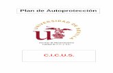 C.I.C.U.S. - Universidad de Sevillacicus.us.es/Prot/Plan.pdf · 2015-08-04 · Servicio de Mantenimiento Unidad de C.C. y A.L. C.I.C.U.S. Plan de Autoprotección Mayo - 2015 Página