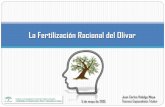 La Fertilización Racional del Olivar · La Fertilización Racional del Olivar . Juan Carlos Hidalgo Moya . 5 de mayo de 2015 . Técnico Especialista Titular
