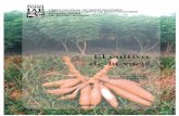 El cultivo de la yuca - SIANsian.inia.gob.ve/pdfpnp/cultivo_yuca.pdfPreparación de suelos La preparación del terreno depende de las características texturales del mismo y también