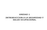 UNIDAD 1 INTRODUCCION A LA SEGURIDAD Y SALUD …hugochoque.com/wp-content/uploads/2017/08/IPE-206-Unidad-1.pdfiluminación, ventilación, presiones anormales, radiaciones, etc. Para