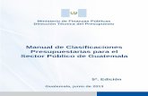 Presupuestarias para el Sector Público de Guatemala · 2016-06-10 · que se llevan a cabo en el Sector Público guatemalteco. Los clasificadores contenidos en el presente Manual
