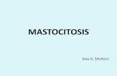 MASTOCITOSIS - Cátedra de Dermatología Rosariodermatologiarosario.com.ar/pps/MASTOCITOSIS.pdf · 1. Detección de + 25% de mastocitos elongados o con morfología atípica en la