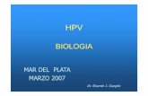BIOLOGIA - igmdp.com.arigmdp.com.ar/old/download/educmedica/diapositivas/HPV Etiologia.pdf · • La face-S llevaría a apoptosis por la acción de la p53; en las células infectadas