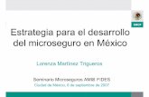 Estrategia para el desarrollo del microseguro en México · 2007-09-12 · Número de proveedores de microseguros de vida en los 100 países más pobres del mundo Fuente: Micro Insurance