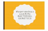 Lecture Bacterial genetics - Maejo University Bacterial genetics.pdf · พันธุศาสตร์ของ แบคทีเรีย bacterial genetics อ.นลิน