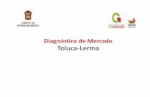 Diagnóstico de Mercado Toluca-Lermafidepar.edomex.gob.mx/sites/fidepar.edomex.gob.mx/files... · 2017-07-10 · PARQUE UBICACION SUPERFIC IE FRENT E/ FONDO TOPO-GRAFIA USO DE SUELO