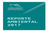 reporte ambiental 2017 - PuertoLazaroCardenas pdf...3 de 55 Administración Portuaria Integral de Lázaro Cárdenas S.A. de C.V. Boulevard de las Islas No. 1, Isla del Cayacal, Cd.