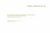 NICARAGUArepositorio.iica.int/bitstream/11324/7248/1/BVE19019504e.pdf1. Tendencias del mercado de productos alimenticios 2. Estructura del sector minorista en la industria agro-alimenticia