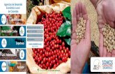 Brochure Red Adelco 2019 · Fortalecer y promover procesos de Desarrollo Económico Local en Colom-bia, como instrumento para la construcción de territorios más competiti-vos, sostenibles