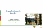 Grupos Ecológicos de Especiespersistencia y dispersión de las poblaciones de plantas, la regeneración de bosques y la sucesión ecológica. ... Término utilizado en las ciencias