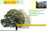 Instituto Nacional de Investigación y Tecnología Agraria y ... CIFOR.pdf · - Genética de la resistencia a enfermedades en poblaciones de especies forestales •Dinámica y Funcionamiento