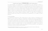 CAPÍTULO III Organización Política y Economía del …catarina.udlap.mx/u_dl_a/tales/documentos/lri/lopez_d_b/...Capítulo III 48 La organización territorial persiguió dos fines: