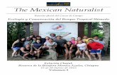 The Mexican Naturalist - UNAM · plántulas (densidad de plántulas, agregación espacial, altura, proporción de daño por herbivoría, proporción de daño por hongos y ausencia