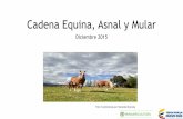 Cadena Equina, Asnal y Mular - sioc.minagricultura.gov.co Cifras Sectoriales.pdfPasaporte Equino Colombiano como documento de movilización sanitario para los equinos de Deporte, por