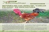 Número 9. Septiembre 2016 INTERÉS DE LAS AVES DE “CUELLO ... · pero otras veces los gallos Na/Na de distintas edades producían mayor volumen de eyaculado y número de espermatozoides