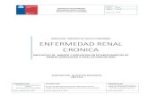 DIRECCION SERVICIO DE SALUD COQUIMBO ENFERMEDAD RENAL … · 2017-04-10 · La E.R.C., además de poner a la persona en riesgo de insuficiencia renal crónica (IRC) terminal, aumenta