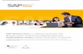 SAP® Business One, un software de gestión ERP de bajo ... · existente, realizando el ajuste y la administración de reservas. También generará los asientos contables correspondientes