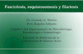 Fasciolosis, esquistosomosis y filariosis³rico 10 -Micro II_3.pdf · Fasciola hepatica Patología PERÍODO DE INVASIÓN Leucocitosis con eosinofilia, fiebre, dolor abdominal (cuadrante