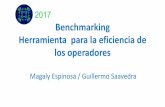 Benchmarking Herramienta para la eficiencia de los servicios Saavedra Benchmarking.pdf · • Software estándares para la obtención de los indicadores ... Indicadores de IWA : 133