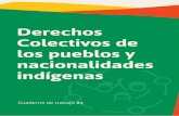 Derechos Colectivos de los pueblos y nacionalidadespara la protección de los derechos colectivos de los pueblos indígenas, comprometiéndose a cumplir con sus disposiciones. Estos