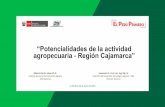 “Potencialidades de la actividad agropecuaria - …...“Potencialidades de la actividad agropecuaria - Región Cajamarca” La Molina, 04 de junio de 2019 Alberto Barrón López