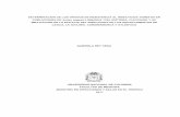 DETERMINACIÓN DE LOS GRADOS DE RESISTENCIA AL …bdigital.unal.edu.co/5347/1/gabrielareyvega.2011.pdf · Tabla 6-1. Sitios evaluados al insecticida temefos y malatión ..... 44 Tabla