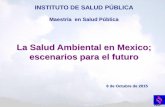 La Salud Ambiental en Mexico; escenarios para el futuroLa Salud Ambiental en Mexico; escenarios para el futuro 8 de Octubre de 2015 ... 70% viven en zonas urbanas en condiciones de