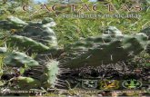 Cactáceas y Suculentas Mexicanasweb.ecologia.unam.mx/cactsucmex/csm2016_61_2.pdfde extracción actual por los pobladores significa algún riesgo para la especie. Los objetivos del