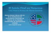 Alianza Estatal México-EE.UU. de la Conferencia de ......Alianza Estatal México-EE.UU. de la Conferencia de Procuradores Generales de ... • Preguntas claras y cortas (un hecho)