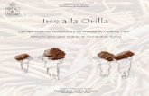 A mi familia - Universidad de Chilerepositorio.uchile.cl/tesis/uchile/2006/araos_f/sources/araos_f.pdf · cielo, mientras una mujer mojada llena su canasto de lugas y chascas. Los